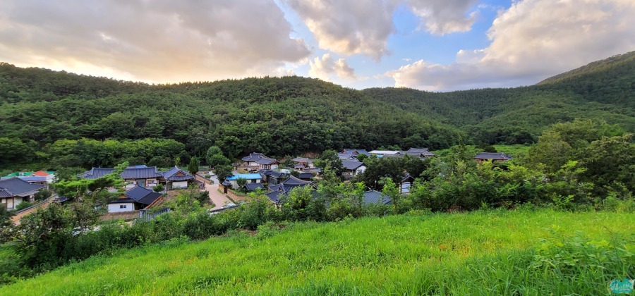 산책하기 좋은 대구 숨겨진 명소_10.jpg