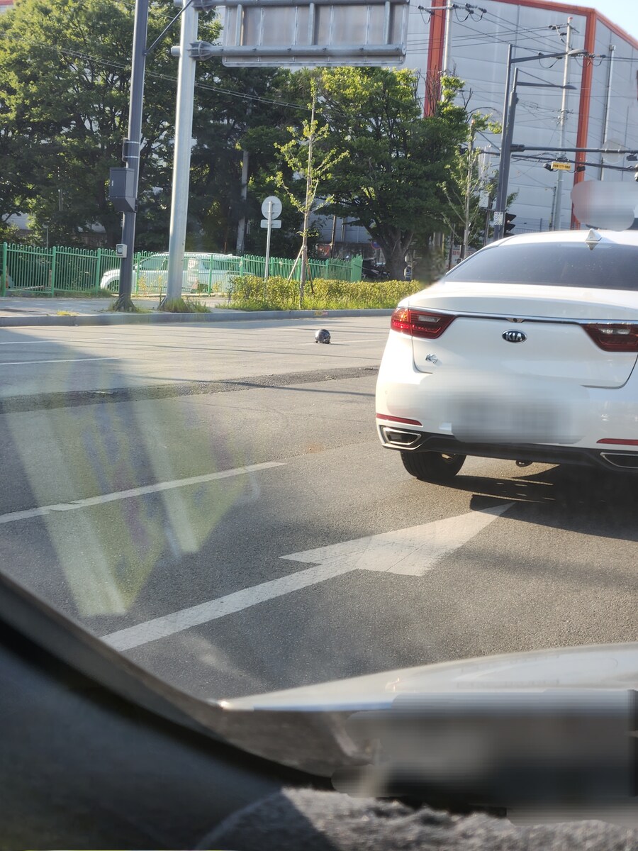 누군가의 헬멧.jpg_1.jpg