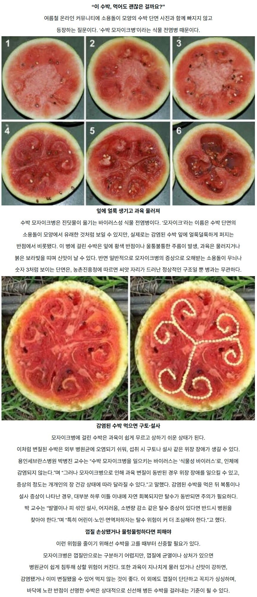 여름철 수박, '이 병' 걸린 수박은 반드시 피해야..._1.jpg