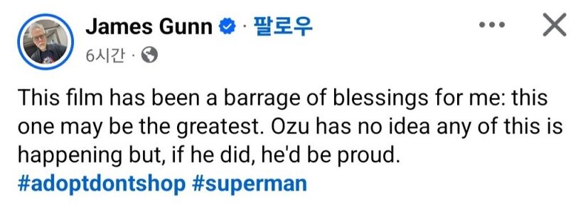 크립토 열풍! 슈퍼맨으로 인해 반려견 입양 증가_2.jpg