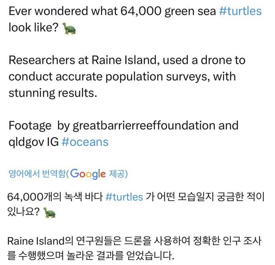 호주에서 발견된 64,000마리 바다 거북.mp4_1.png