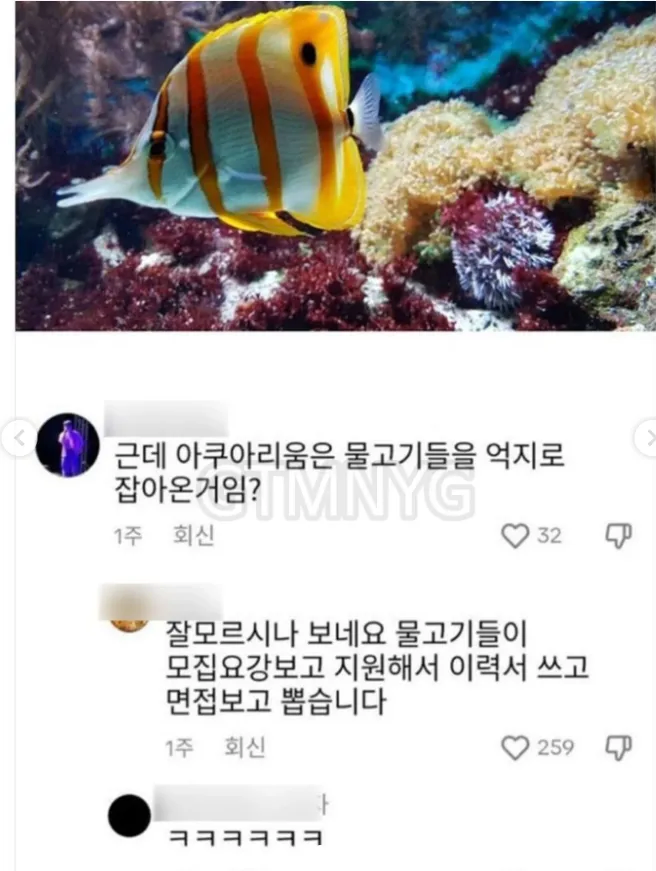 ? : 아쿠아리움 물고기들은 억지로 잡아온거임?_1.webp