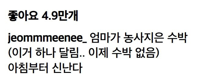 엄마가 농사지은 수박 커팅식.gif_1.jpg