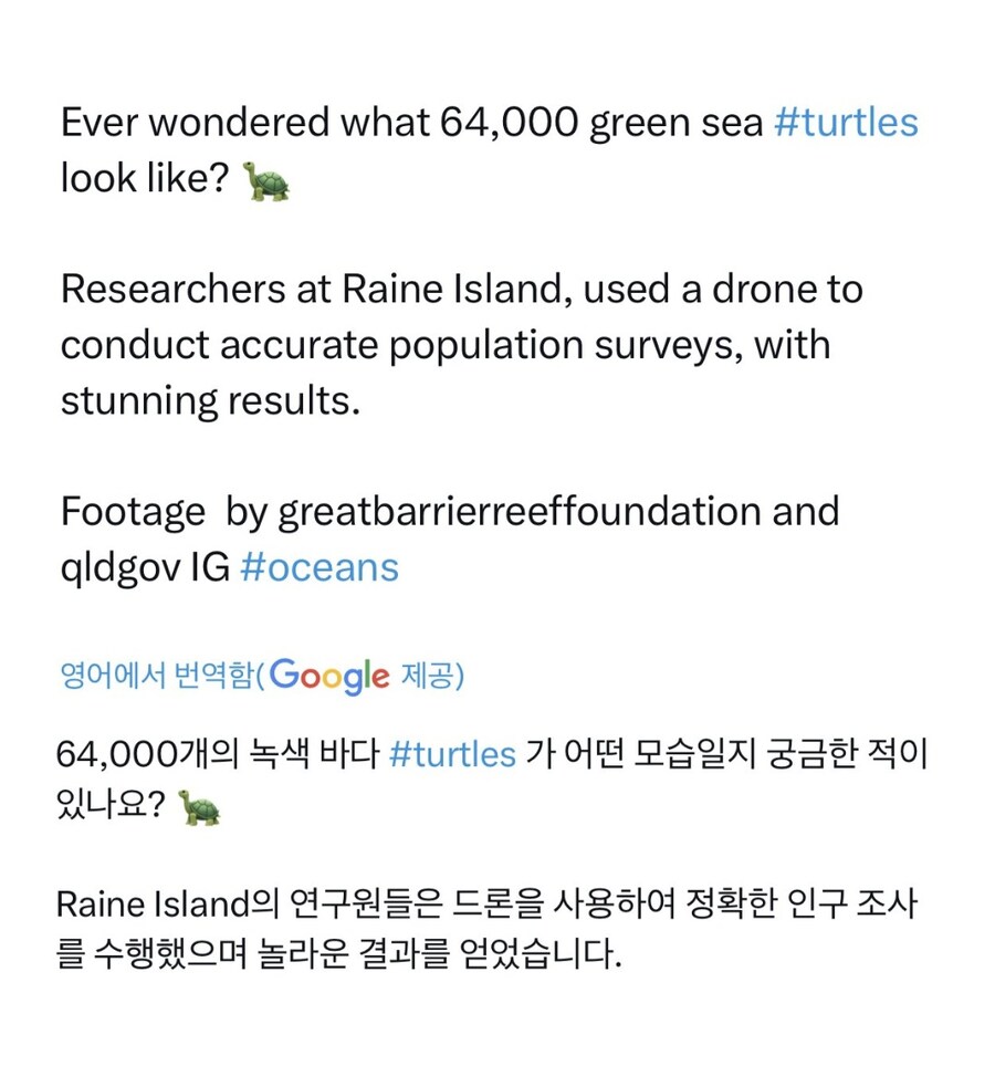 호주에서 발견된 64,000마리 바다 거북 _1.jpg