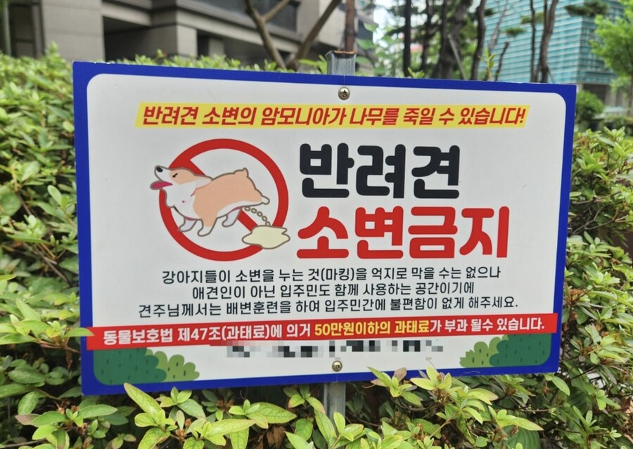 “똥만 치우면 되는 줄 알았더니” 알고 보니, 소변이 ‘충격’…다 말라 죽는다_1.jpg