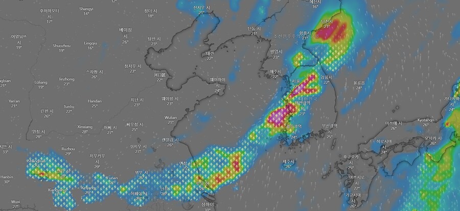 현재 비구름_2.png
