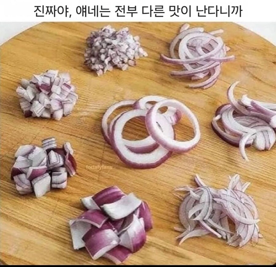 진짜야, 얘네는 전부 다른 맛이 난다니까?_1.jpg