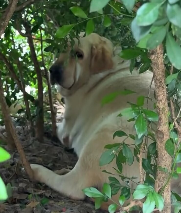 산길에 있는 경고판 수준. jpg_2.png