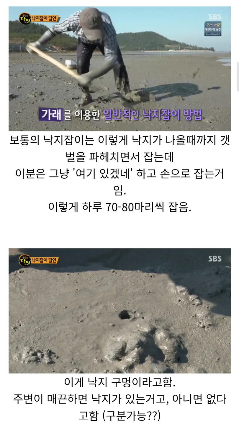 주작의 달인 레전드_3.webp