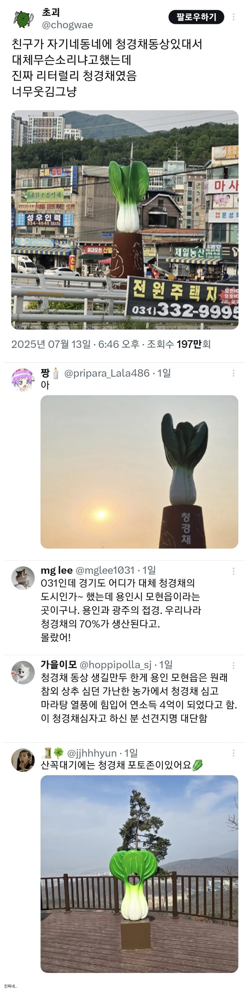 친구가 자기 동네에 청경채 동상 있대서 무슨 소리냐고 했는데_1.png