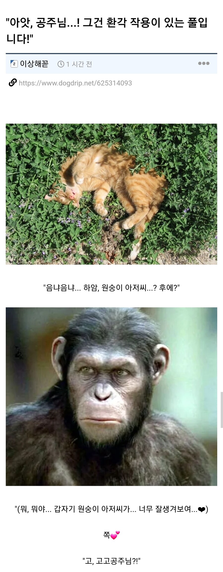 "아가씨! 조심하십시오!!!"_1.jpg