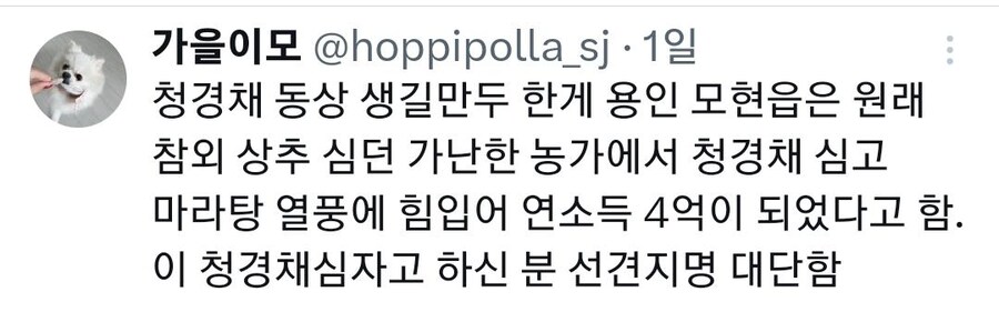친구가 자기 동네에 청경채 동상 있대서 무슨 소리냐고 했는데_4.jpg