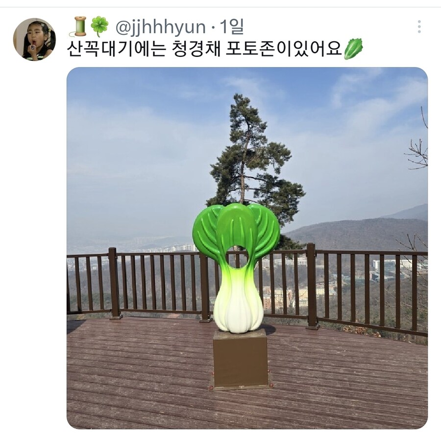 친구가 자기 동네에 청경채 동상 있대서 무슨 소리냐고 했는데_5.jpg
