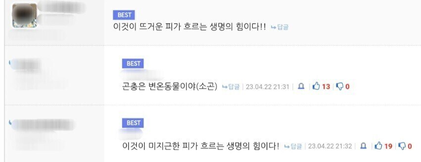 젊음의 생명이 빨갛게 타오르며어~🎵.jpgif