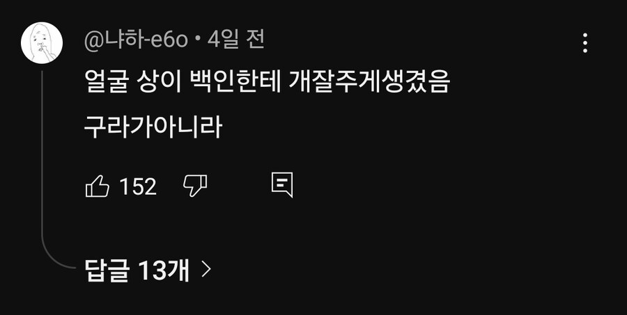 벌레들에게 테러 당한 호주 워홀 유튜버 누나 근황.jpg_2.jpg