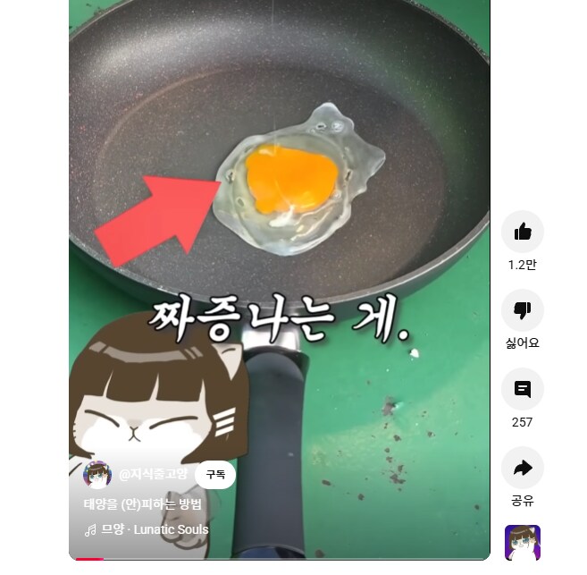 내친구도, 지하철 모르는 사람도 보는 고양이_1.png