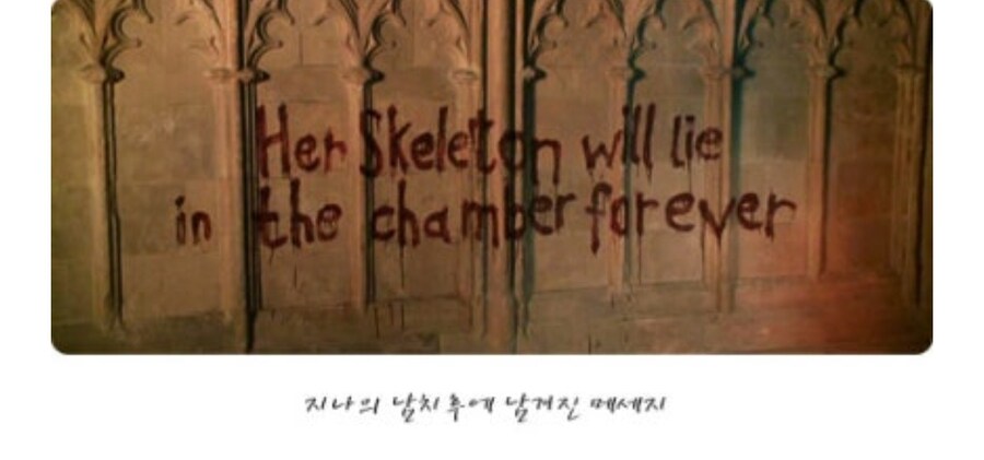 해리포터) 흔한 오해_3.jpg