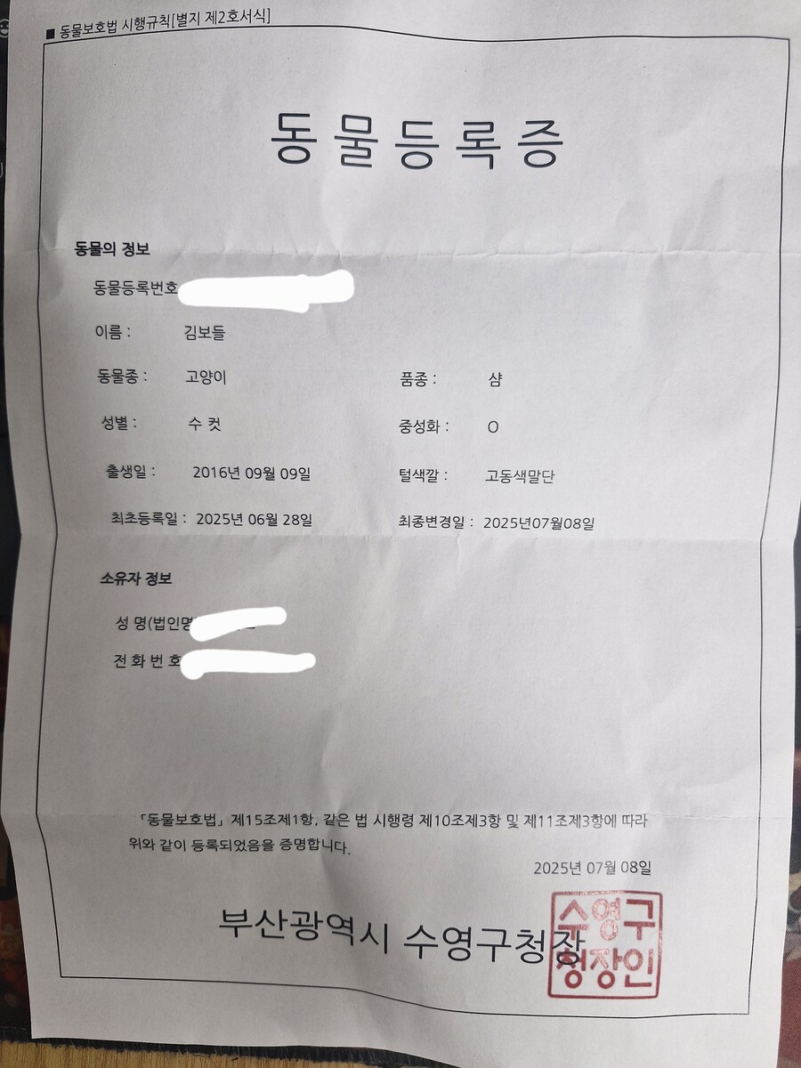 이제 법적으로 내 반려임_1.jpg