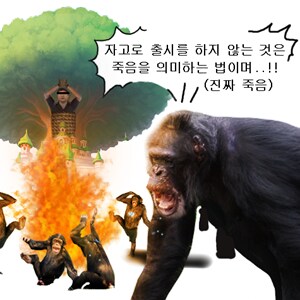 img/25/07/17/198182e054e510cfc.png?icon=4455