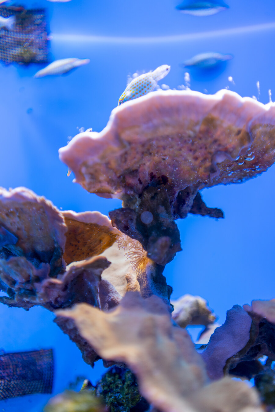 지인 부부와 오키나와를 함께 가게 된 스토리 +여행 가이드(스-압)_36.jpg