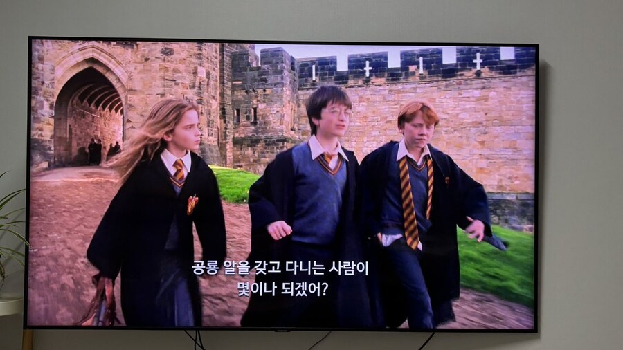 해리포터)쥬라기 공원과 자막이 바뀌었다 vs 원본 자막이다_1.jpg