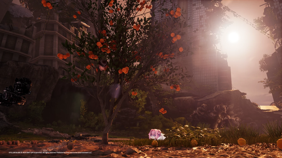 스텔라 블레이드) 도로롱이 있는 곳엔_1.webp