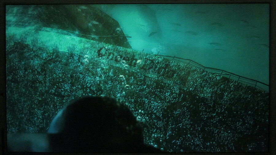 바이오하자드 레벌레이션스 엔딩_6.jpg