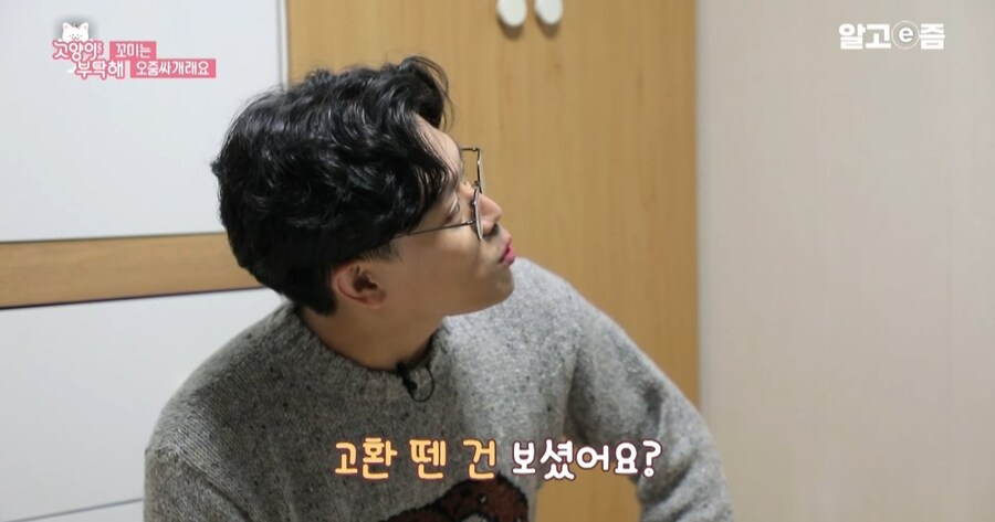 중성화 수술 두번 하게된 고양이들_2.jpg