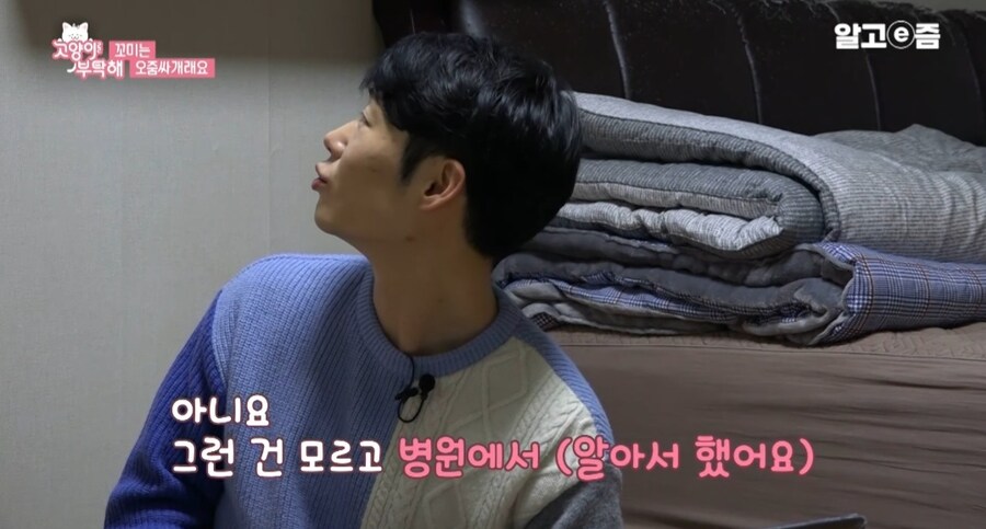 중성화 수술 두번 하게된 고양이들_3.jpg
