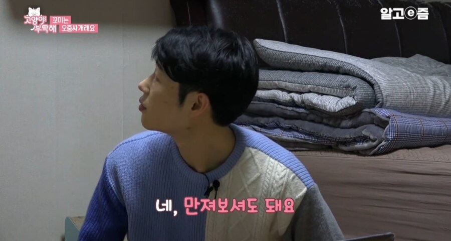 중성화 수술 두번 하게된 고양이들_5.jpg