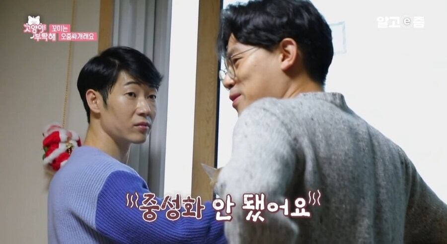 중성화 수술 두번 하게된 고양이들_6.jpg
