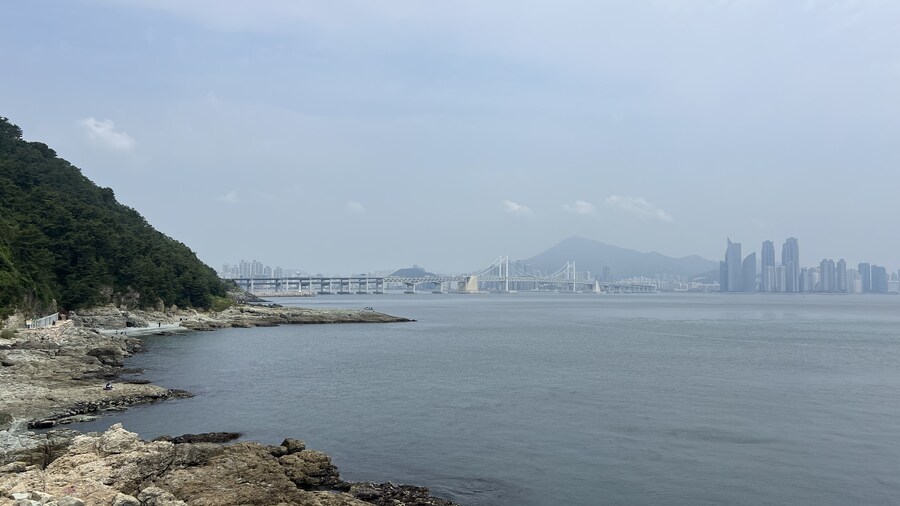 부산 사는 남자의 2025년 06월 먹부림. (※스압, 데이터)_64.jpg