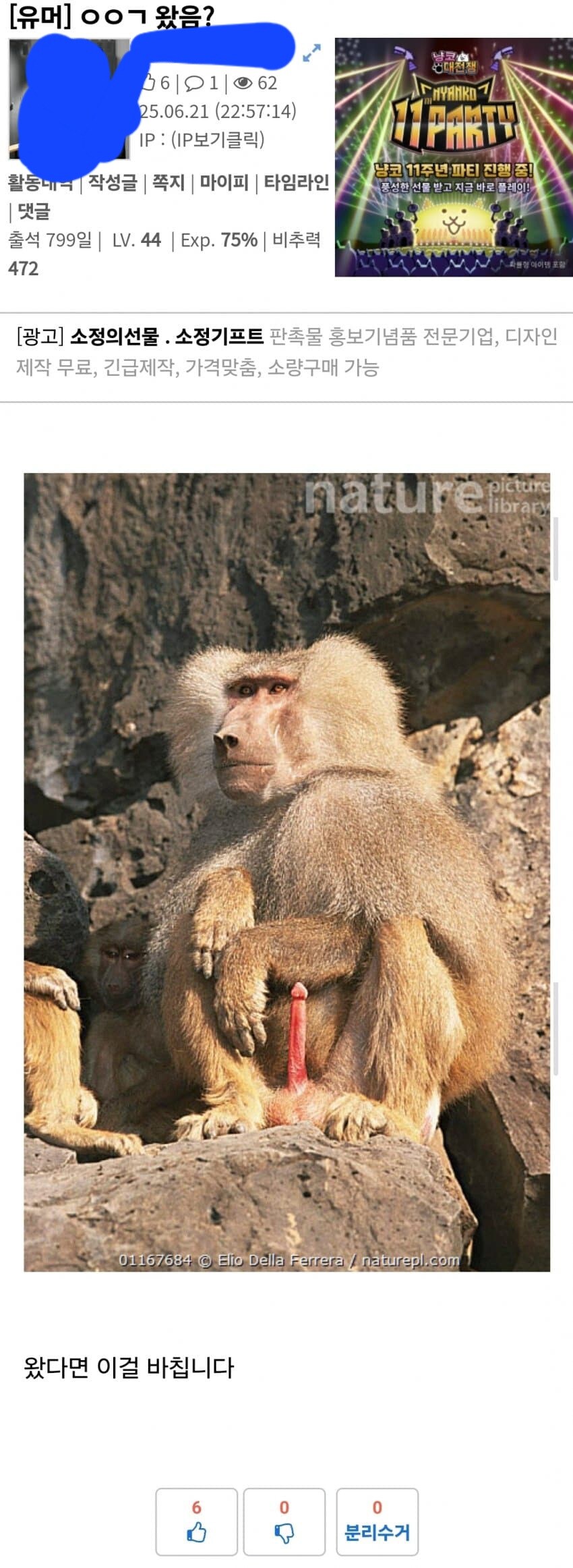 디씨인들도 보고 기겁한 유게_5.jpg