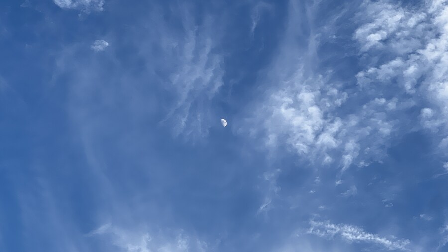 부산 사는 남자의 2025년 06월 먹부림. (※스압, 데이터)_189.jpg