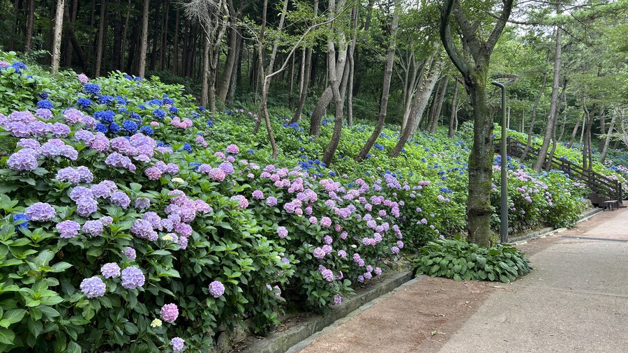 부산 사는 남자의 2025년 06월 먹부림. (※스압, 데이터)_244.jpg