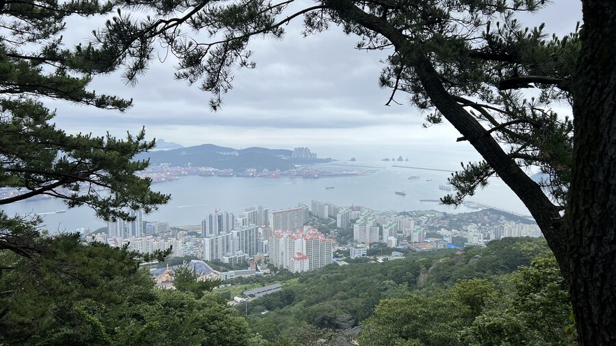 부산 사는 남자의 2025년 06월 먹부림. (※스압, 데이터)_247.jpg