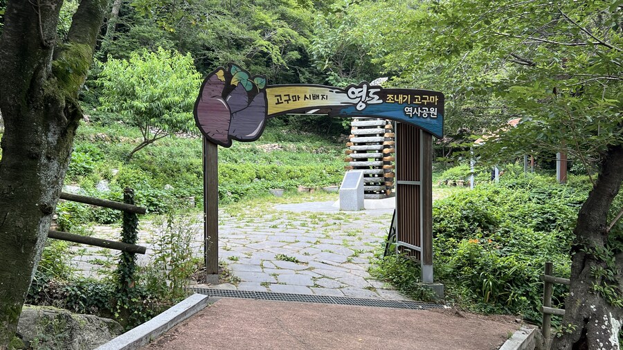 부산 사는 남자의 2025년 06월 먹부림. (※스압, 데이터)_257.jpg