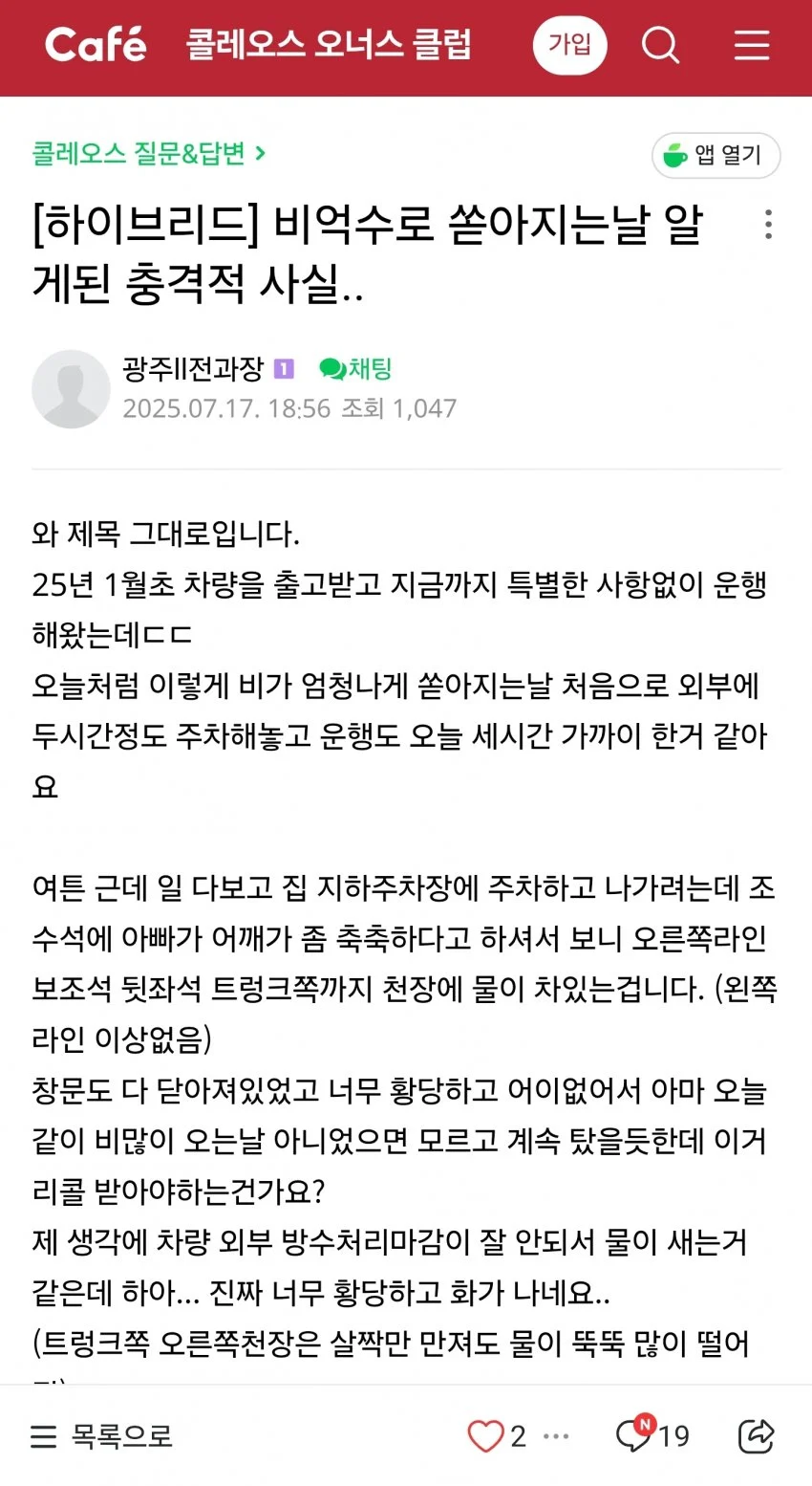 보르노 근황_1.webp