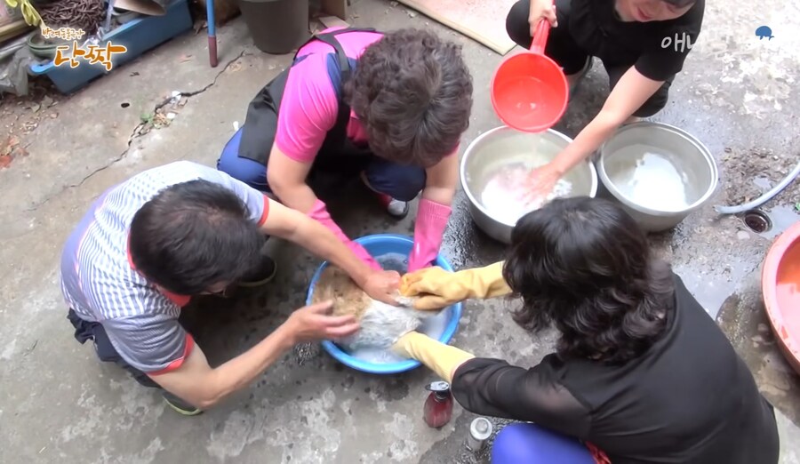 혐) 산체로 삶아지는 고양이...jpg_3.jpg