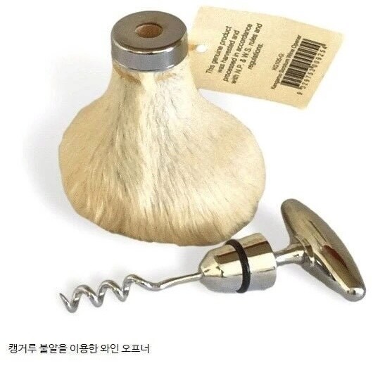캥거루가 인간들에게 사나운 이유_4.png