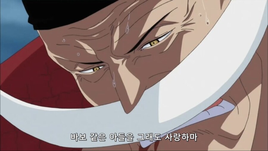 어떻게 멍뭉이 유지비가_1.jpg