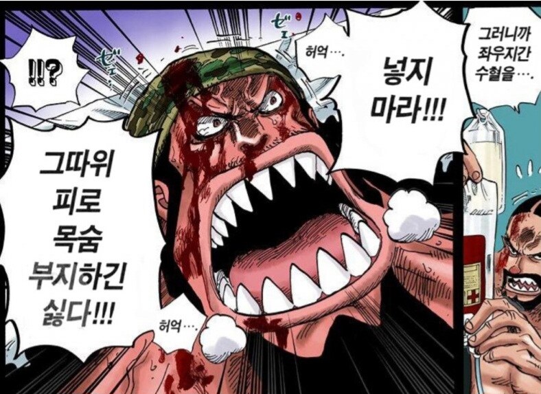 원피스) 내막을 모르고 보면 웃음벨이었던 장면.png_3.jpg