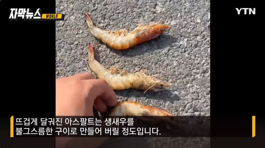 현재 중국의 더위 상태_2.png