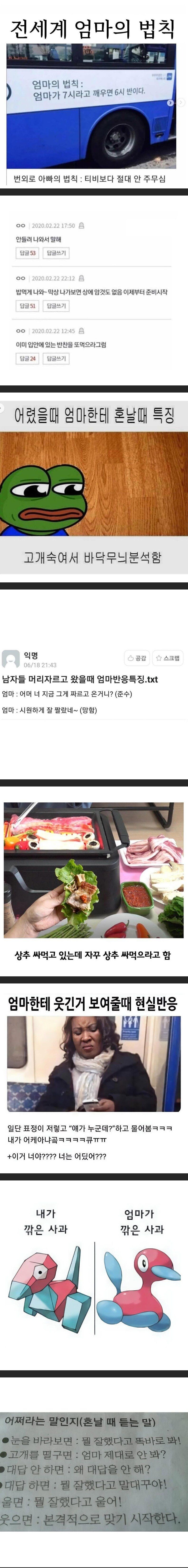 전세계 엄마들의 공통 법칙_1.jpg