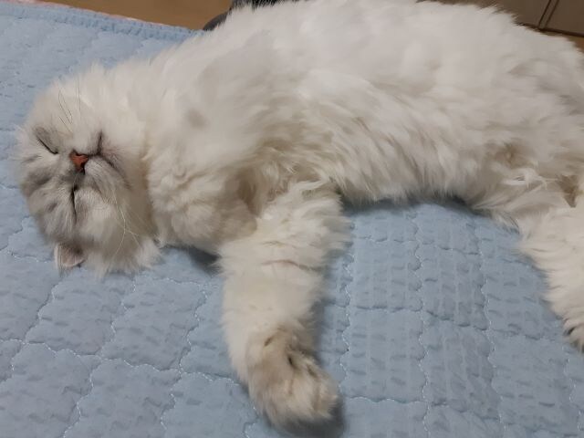 자러감_1.jpg