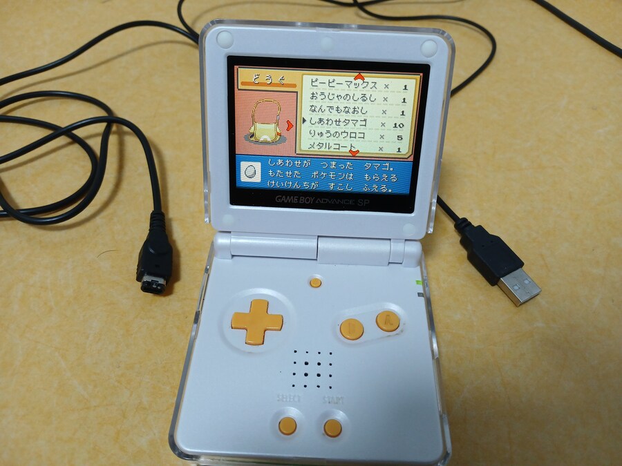 포켓몬 리프그린 근황_1.jpg