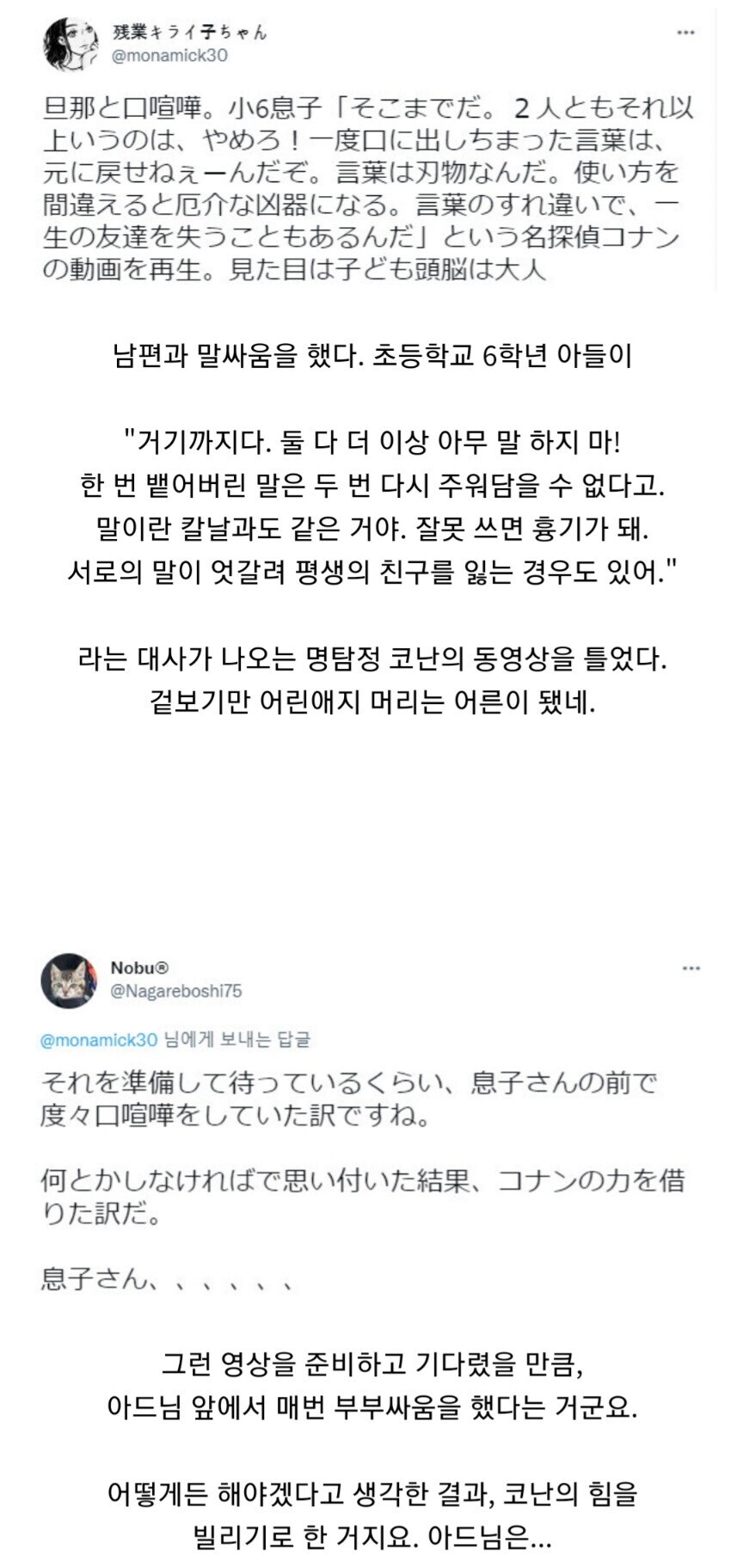 초등학생 아들이 코난 팬이라는 썰.txt_1.jpg