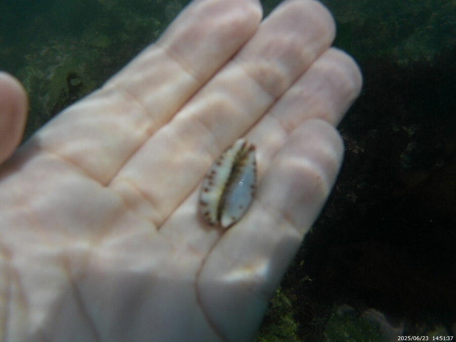 스압주의) 부산바다 스노클링_33.jpg