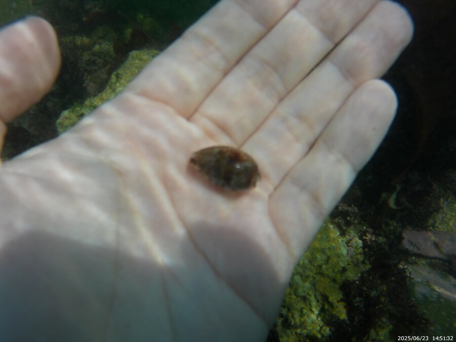 스압주의) 부산바다 스노클링_32.jpg