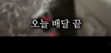 배달하다가 개쫄아서 눈물그렁그렁 탈출함_1.png